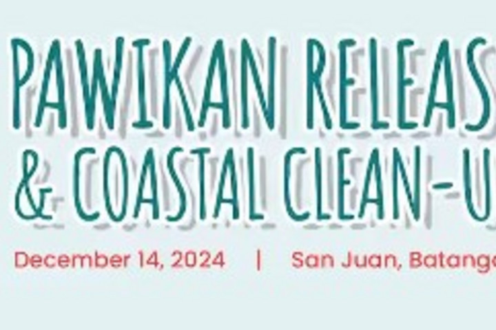 pawikan_release.jpg